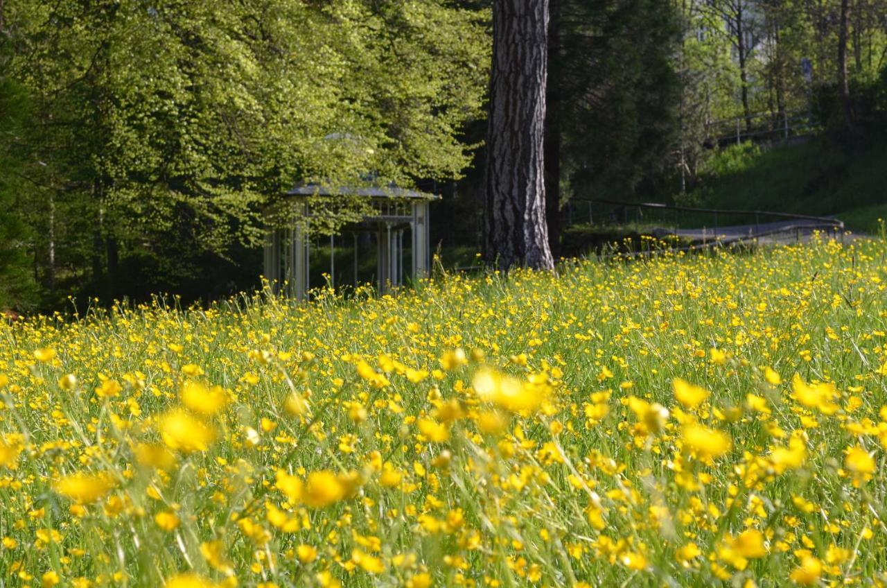 باد ويلباد Ferienwohnung Am Kurpark المظهر الخارجي الصورة