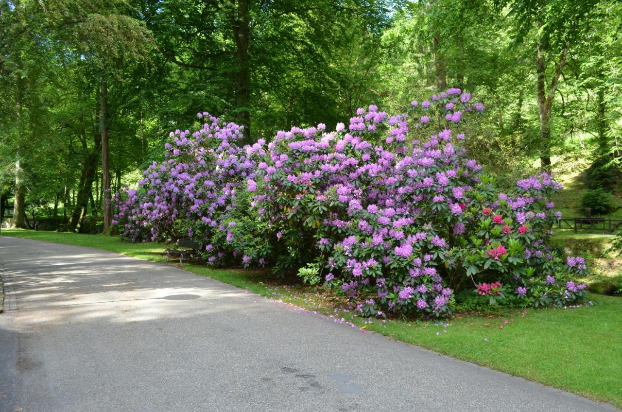 باد ويلباد Ferienwohnung Am Kurpark المظهر الخارجي الصورة